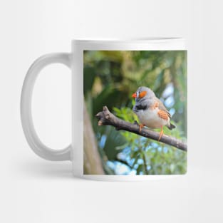 Zebra Finch Mug